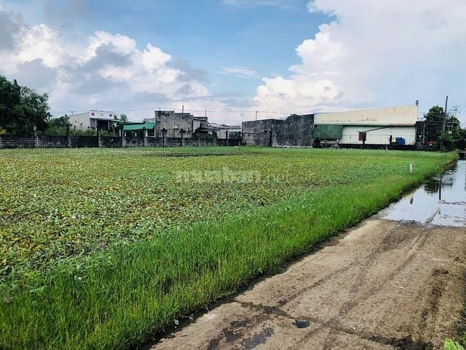 5x30(146m2) Full Thổ Cư, Hẻm Lê Minh Công Tân Phước LaGi Gần Biển