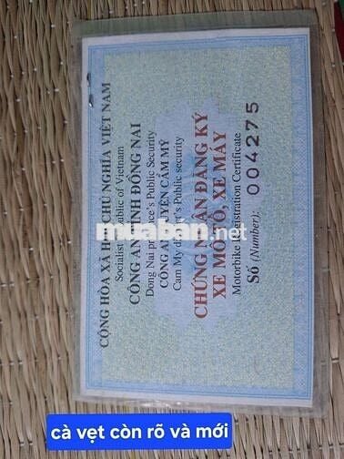 Xe wave alpha, gia đình đi, lợi xăng, dáng xe mới.