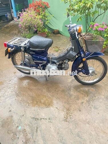 Honda cup 50cc có đề( bs 65 )