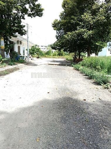 cần tiền bán gấp, đất khu dân cư 135