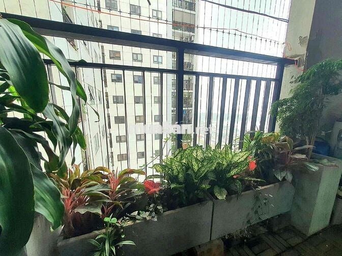 Bán nhanh căn cc Hateco Yên sở 50m ,2 ngủ  view đẹp tầng trung