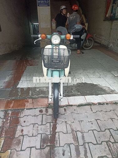 Honda Cub 50 bs VIP đẹp học sinh cổ kiểng cà phê