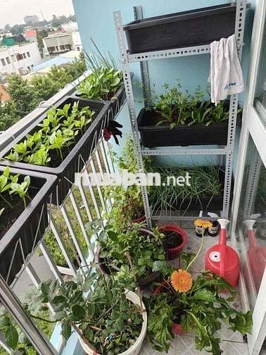 Cho thuê căn hộ Biconsi TH3 2PN 2WC Góc Giá 7.5tr Full đồ