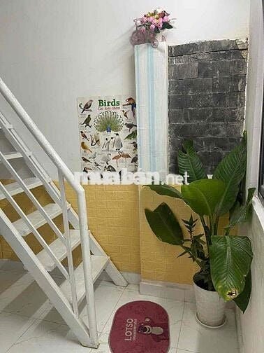 Phòng Có Gác Lửng Full Nội Thất Máy Giặt Riêng View Cây Xanh Tân Quy