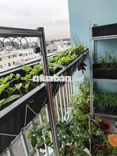 Cho thuê căn hộ Biconsi TH3 2PN 2WC Góc Giá 7.5tr Full đồ