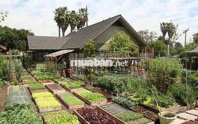 ĐẤT VEN SÔNG 710m quy hoạch thổ cư MẶT ĐƯỜNG ĐI VINHOMES CẦN GIUỘC