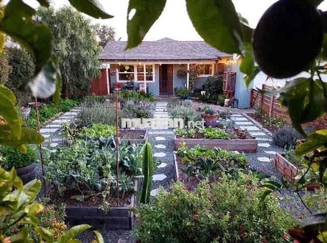 ĐẤT VEN SÔNG 710m quy hoạch thổ cư MẶT ĐƯỜNG ĐI VINHOMES CẦN GIUỘC