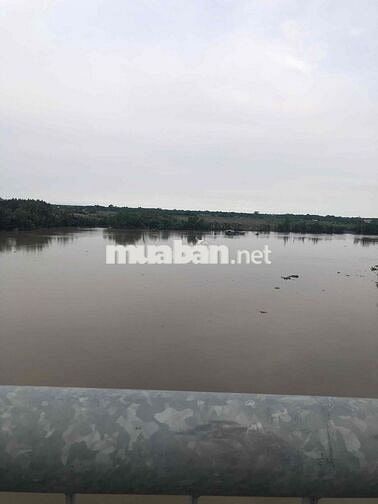 ĐẤT VEN SÔNG 710m quy hoạch thổ cư MẶT ĐƯỜNG ĐI VINHOMES CẦN GIUỘC