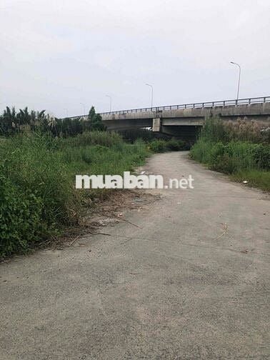 ĐẤT VEN SÔNG 710m quy hoạch thổ cư MẶT ĐƯỜNG ĐI VINHOMES CẦN GIUỘC