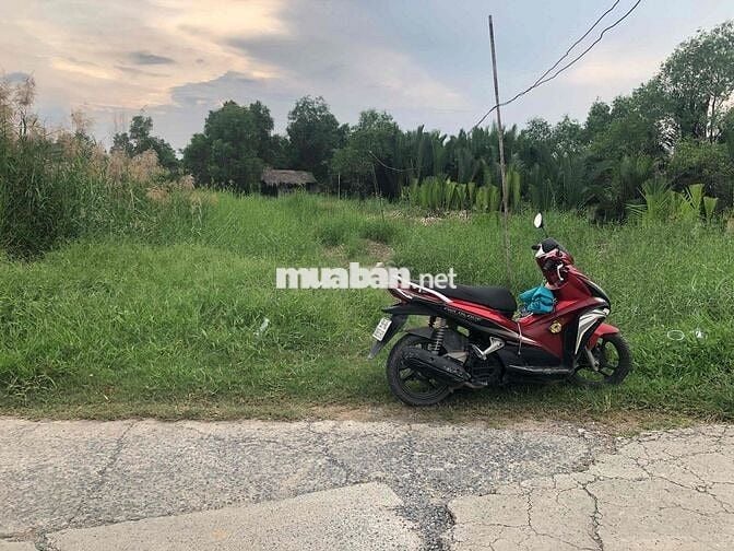 ĐẤT VEN SÔNG 710m quy hoạch thổ cư MẶT ĐƯỜNG ĐI VINHOMES CẦN GIUỘC