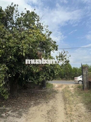 Bán đất nhà vườn nghỉ dưỡng ngay kdl núi chứa chan có thổ cư có nhà