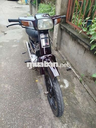 Xe dream TQ máy êm