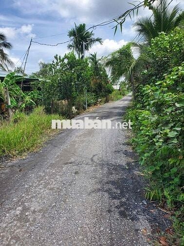 bán đất thổ cư 5x28,5 và 6,3x28 + 500m2 vườn