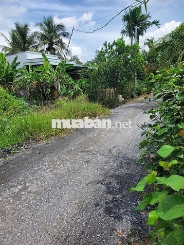 bán đất thổ cư 5x28,5 và 6,3x28 + 500m2 vườn