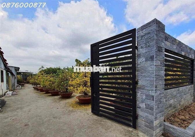 Bán nhà vườn mặt tiền ven sông 847m2 cách chợ Tân Thành Lai Vung 200m