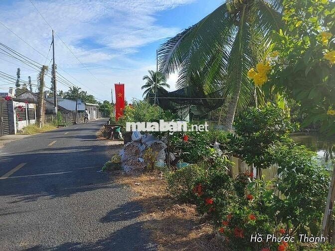 Bán nhà vườn mặt tiền ven sông 847m2 cách chợ Tân Thành Lai Vung 200m