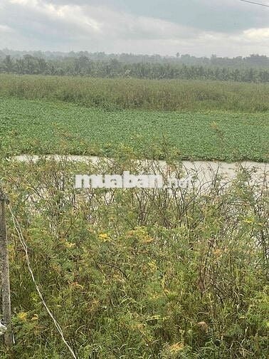 Cần bán đất thôn 8 cưêbur có 2 sổ có tổng 4000m2 giáp hồ 201