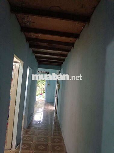 CHO THUÊ 2 CĂN NHÀ ĐỂ Ở HOẶC LÀM XƯỞNG (thuê 1 hoặc 2 căn đều được)