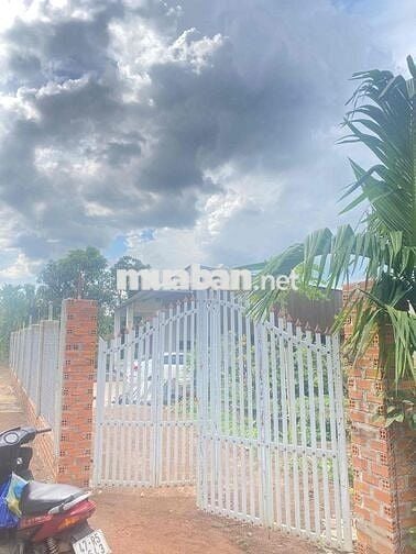 Cần bán đất thôn 8 cưêbur có 2 sổ có tổng 4000m2 giáp hồ 201