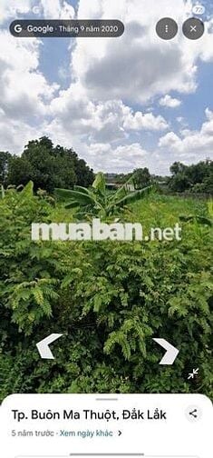 🏡 BÁN ĐẤT TP BUÔN MA THUỘT GIÁ RẺ