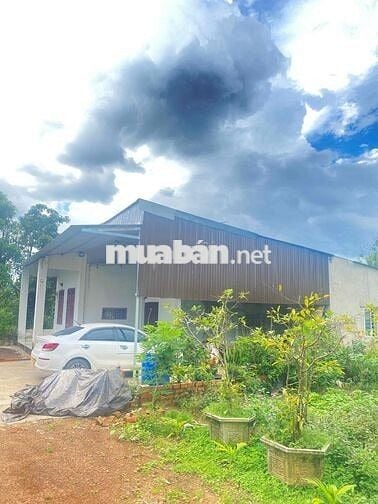 Cần bán đất thôn 8 cưêbur có 2 sổ có tổng 4000m2 giáp hồ 201