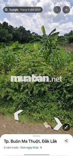 🏡 BÁN ĐẤT TP BUÔN MA THUỘT GIÁ RẺ