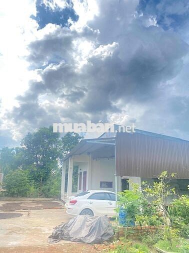 Cần bán đất thôn 8 cưêbur có 2 sổ có tổng 4000m2 giáp hồ 201