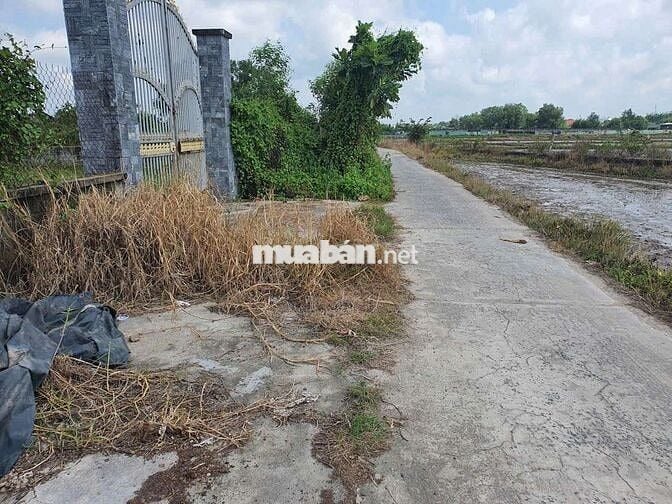 Sổ đỏ chính chủ, bán gấp đất vườn