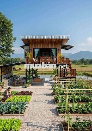 Sổ đỏ chính chủ, bán gấp đất vườn