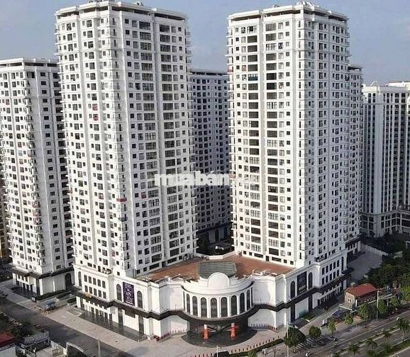 Quỹ căn hộ Iris Garden Trần Hữu Dực, view pháo hoa,thiết kế 2/3/duplex