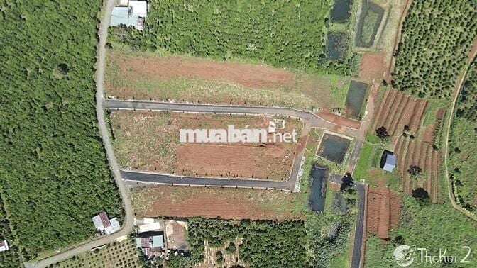 Lô đất 221m2 ngang7m gần QL20 và trung tâm 3km sổ hồng riêng Bảo Lộc