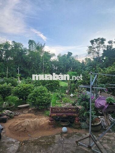 4500m2 150m2 đất ở Hòa Phong Đà Nẵng