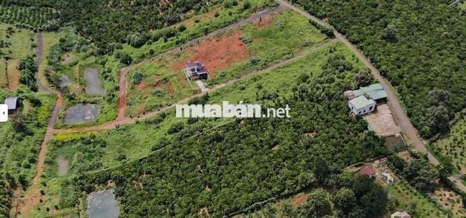 Lô đất 221m2 ngang7m gần QL20 và trung tâm 3km sổ hồng riêng Bảo Lộc