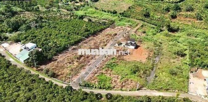 Lô đất 221m2 ngang7m gần QL20 và trung tâm 3km sổ hồng riêng Bảo Lộc