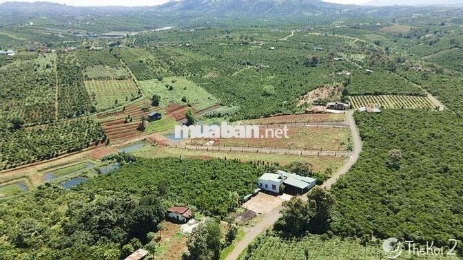 Lô đất 221m2 ngang7m gần QL20 và trung tâm 3km sổ hồng riêng Bảo Lộc