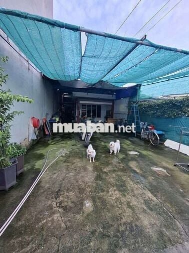 NHÀ C4 NÁT TIỆN XÂY MỚI ĐƯỜNG 10M  SHR.  FUNL THỔ CƯ GIÁ CHƯA TỚI 51TR