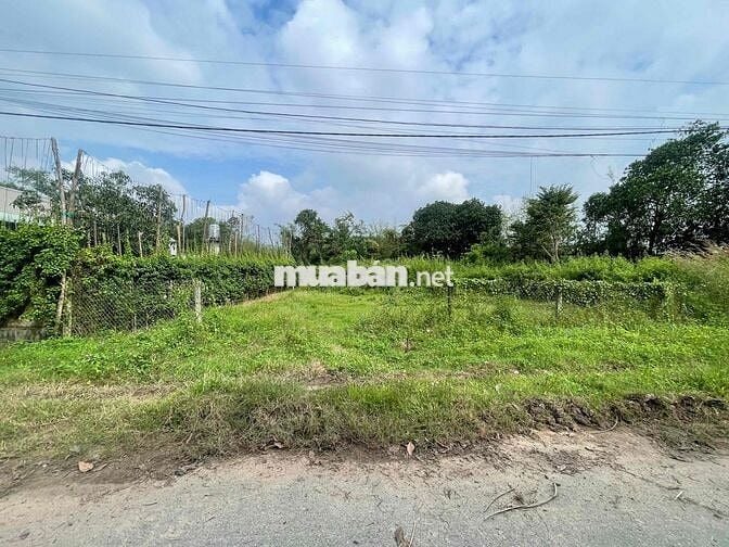 BÁN 600m2 ĐẤT VƯỜN - CÂY TRÔM MỸ KHÁNH - SHR