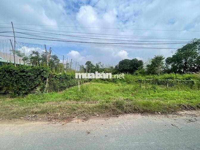 BÁN 600m2 ĐẤT VƯỜN - CÂY TRÔM MỸ KHÁNH - SHR