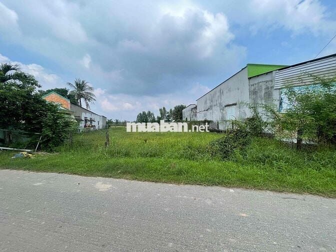 500m2 ĐẤT THỔ CƯ ĐƯỜNG CÂY TRÔM MỸ KHÁNH GIÁ CHỈ 5tr/m2