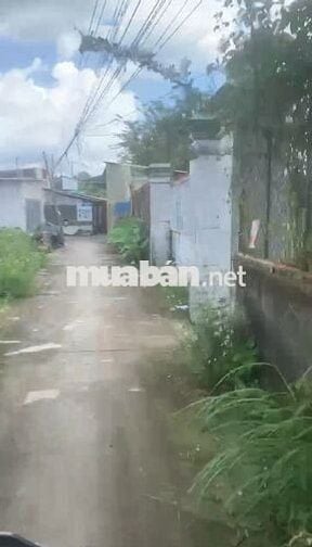 BÁN GẤP ĐẤT VƯỜN CHÍNH CHỦ 137M2 ĐƯỜNG XÃ ĐÊ, BÌNH CHÁNH, TP.HCM