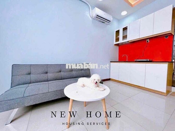 CHO THUÊ CĂN STUDIO CỬA SỔ LỚN - GẦN CHÙA PHÁP HOA - GIÁ TỐT T11/2025