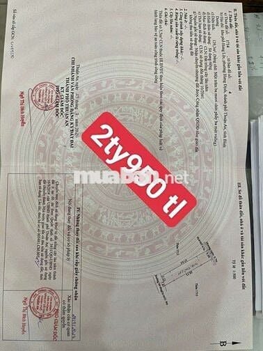 ĐẤT HƯNG ĐỊNH 24 GẦN CHỢ ,TRƯỜNG HOC , P THUẬN AN ,TP HCM