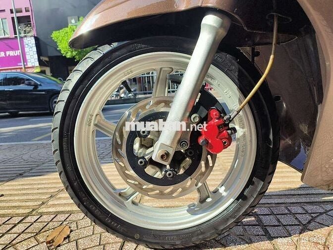 Bán xe shark biển đẹp phong thủy