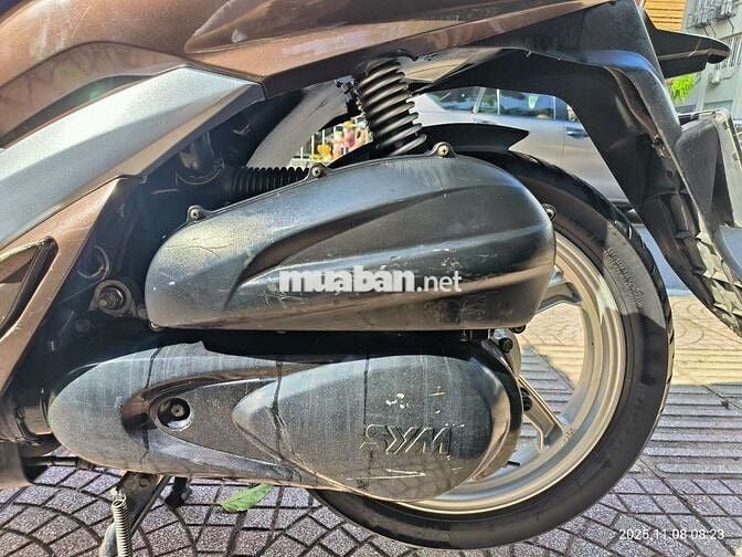 Bán xe shark biển đẹp phong thủy