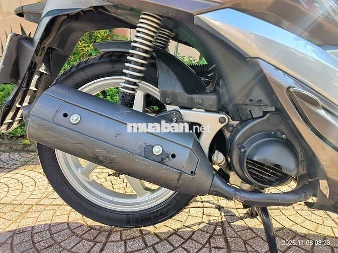 Bán xe shark biển đẹp phong thủy