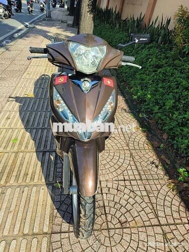 Bán xe shark biển đẹp phong thủy