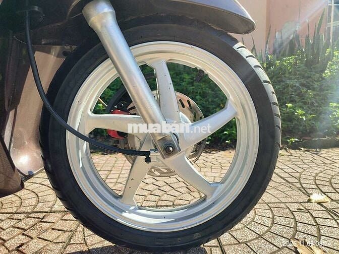 Bán xe shark biển đẹp phong thủy