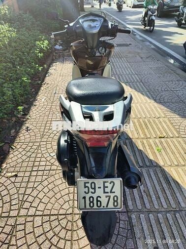 Bán xe shark biển đẹp phong thủy