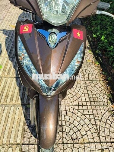 Bán xe shark biển đẹp phong thủy