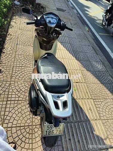 Bán xe shark biển đẹp phong thủy